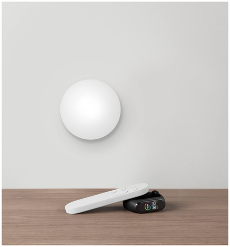 Светильник потолочный умный Xiaomi Mi Smart LED Ceiling Light MJXDD01SYL (BHR4118GL)