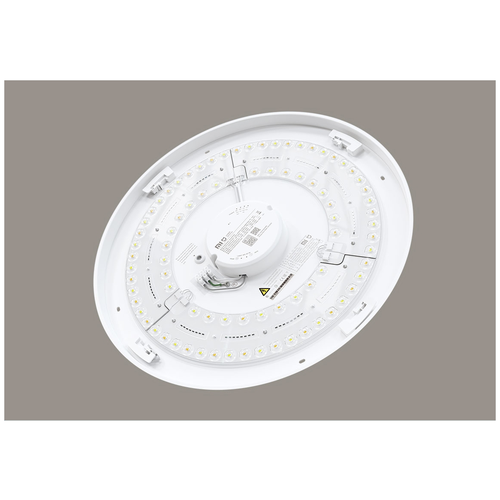 Светильник потолочный умный Xiaomi Mi Smart LED Ceiling Light MJXDD01SYL (BHR4118GL)
