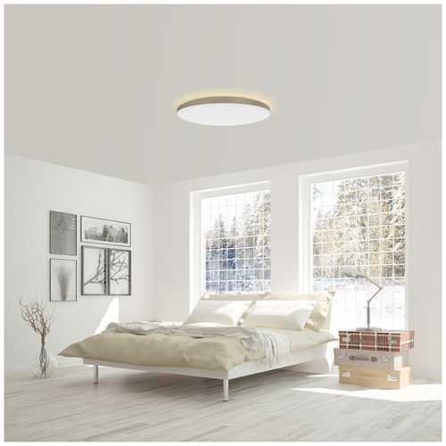 Светильник потолочный Xiaomi Yeelight LED Ceiling light YLXD50YL