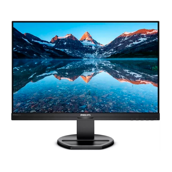 Монитор 24,1" Philips 240B9 1920x1200 75Гц  IPS W-LED 16:10