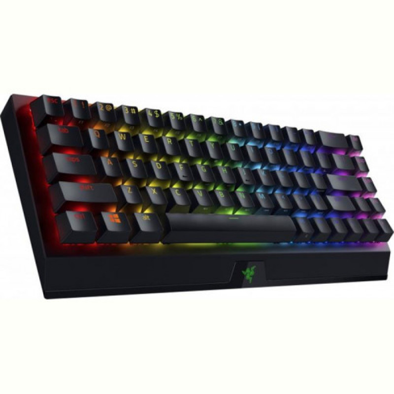 Клавиатура Razer BlackWidow V3 Mini (RZ03-03890700-R3R1)