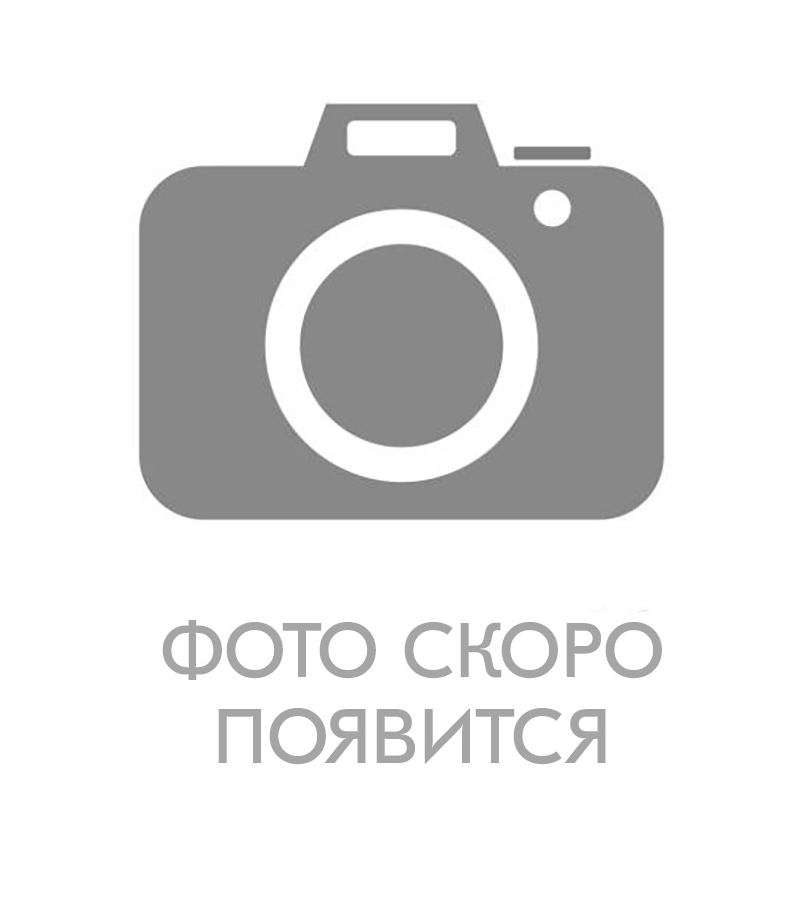 Видеорегистратор HiWatch DS-N204(C)