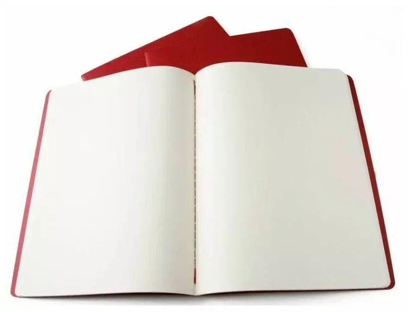 Блокнот Moleskine CAHIER JOURNAL CH123 XLarge 190х250мм обложка картон 120стр.