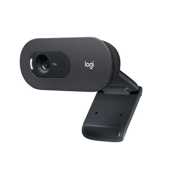 Камера Web Logitech C505 черный 1.2Mpix (1280x720) USB2.0 с микрофоном для ноутбука