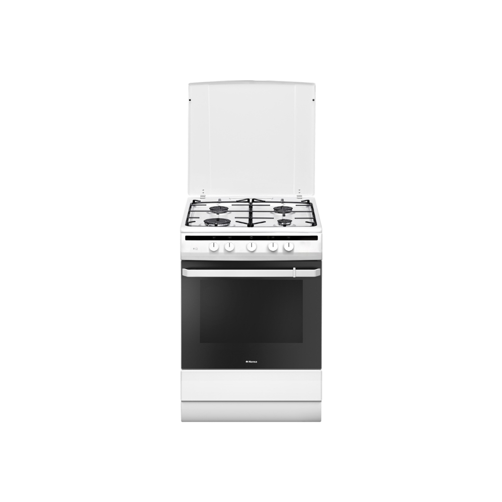 Газовая плита Hansa FCGW61000, белый