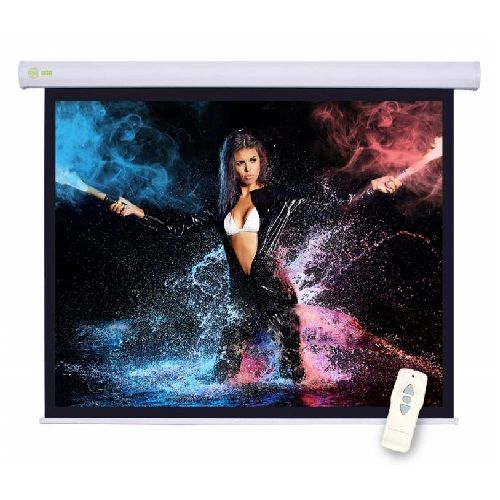 Экран Cactus Motoscreen CS-PSM-124x221 124.5 x 221см 16:9 настенно-потолочный рулонный (моторизованный привод)