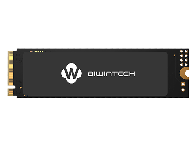 SSD M.2 BiwinTech 1.0Tb NX500 Series