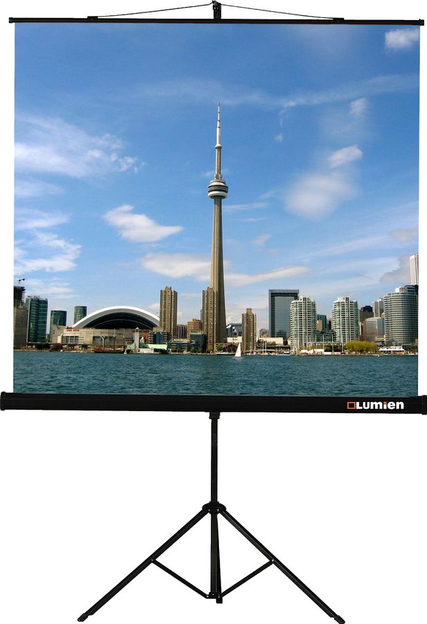 Экран на штативе Lumien Eco View 220x220см (LEV-100109)