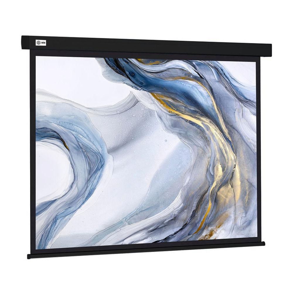 Экран Cactus 180x180см Wallscreen CS-PSW-180X180-BK 1:1 настенно-потолочный рулонный черный
