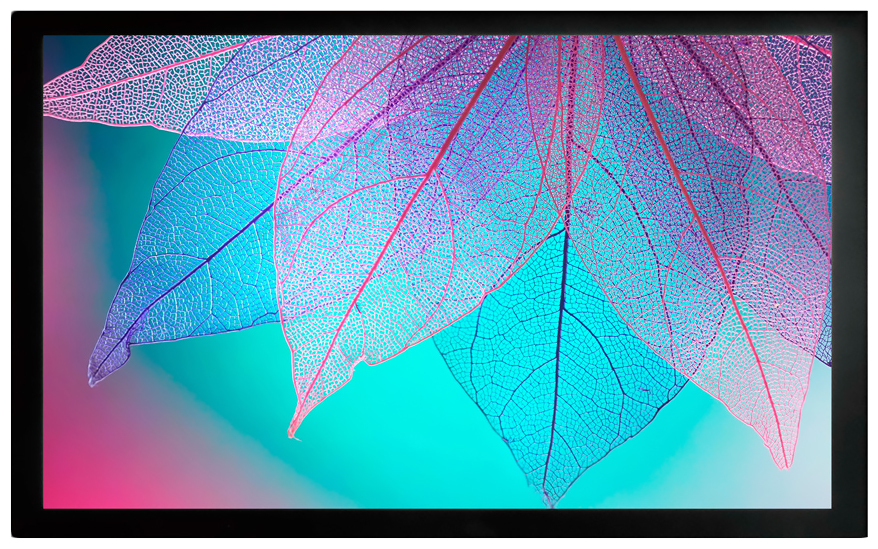 Экран на раме Cactus 124x220см FrameExpert CS-PSFRE-220X124 16:9 настенный натяжной