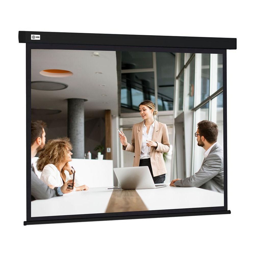 Экран Cactus 168x299см Wallscreen CS-PSW-168X299-BK 16:9 настенно-потолочный рулонный черный
