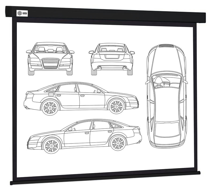 Экран Cactus 213x213см Wallscreen CS-PSW-213X213-BK 1:1 настенно-потолочный рулонный черный