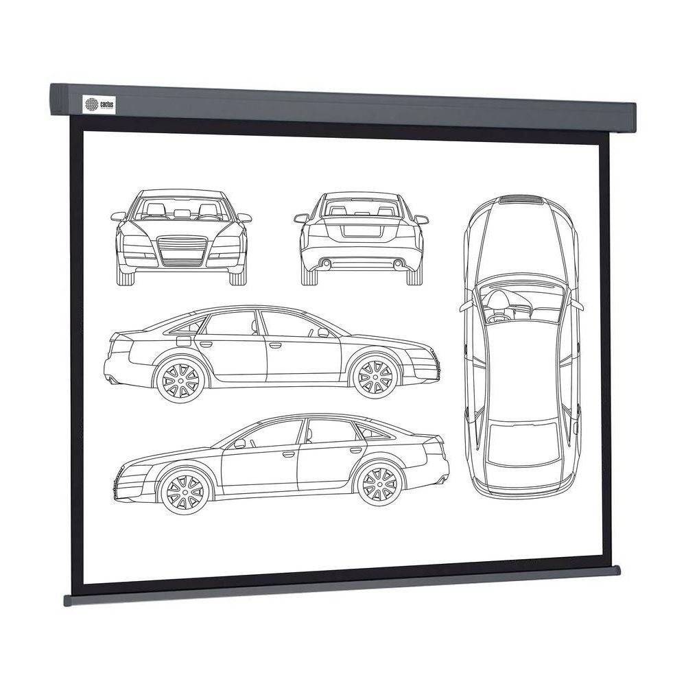 Экран Cactus 213x213см Wallscreen CS-PSW-213X213-BK 1:1 настенно-потолочный рулонный черный