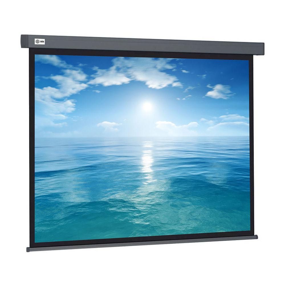 Экран Cactus 104.6x186см Wallscreen CS-PSW-104X186-SG 16:9 настенно-потолочный рулонный серый
