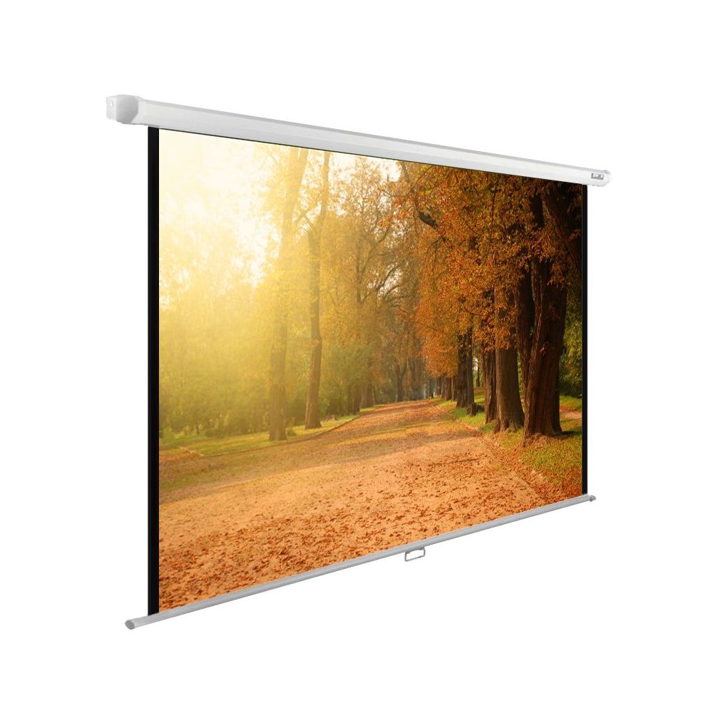 Экран Cactus 125x200см WallExpert CS-PSWE-200x125-WT 16:10 настенно-потолочный рулонный