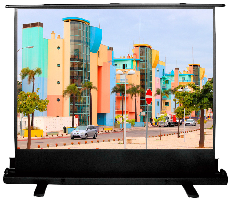 Экран Cactus 120x160см FloorExpert CS-PSFLE-160X120 4:3 напольный рулонный