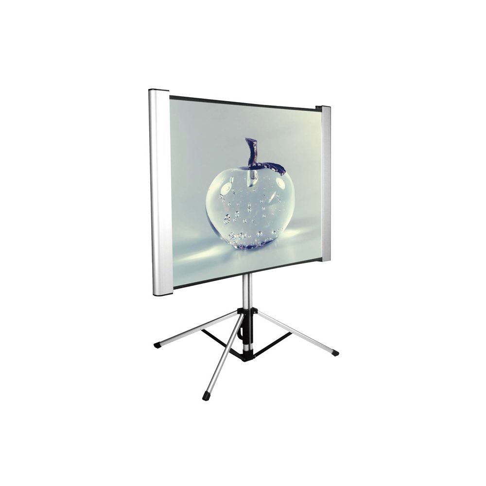 Экран Cactus 102x180см TriAlExpert CS-PSTALE-180X102 16:9 напольный рулонный