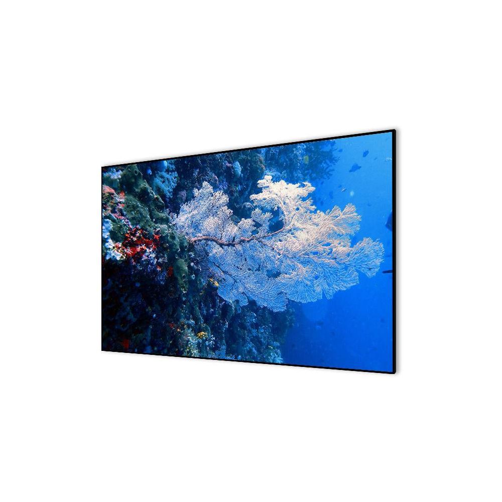 Экран на раме Cactus 151x267см Alr Expert CS-PSALR-267X151 16:9 настенный натяжной