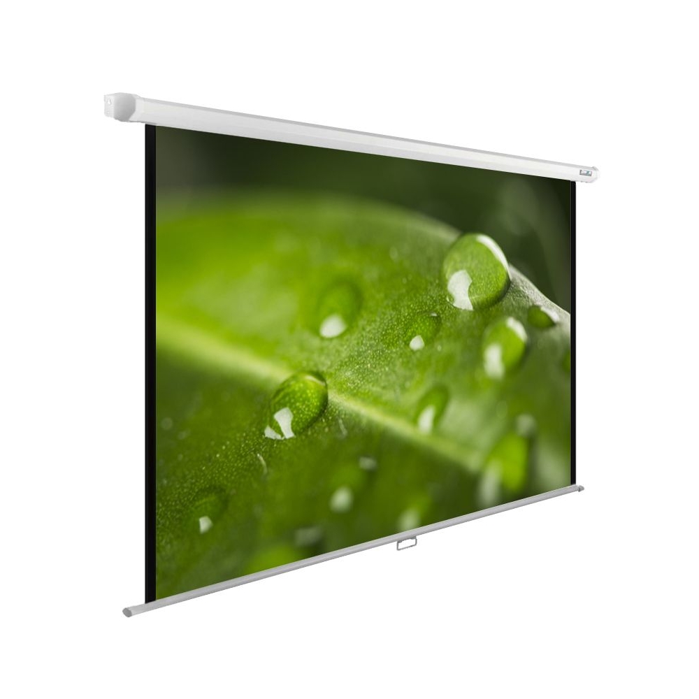 Экран Cactus 150x200см WallExpert CS-PSWE-200x150-WT 4:3 настенно-потолочный рулонный
