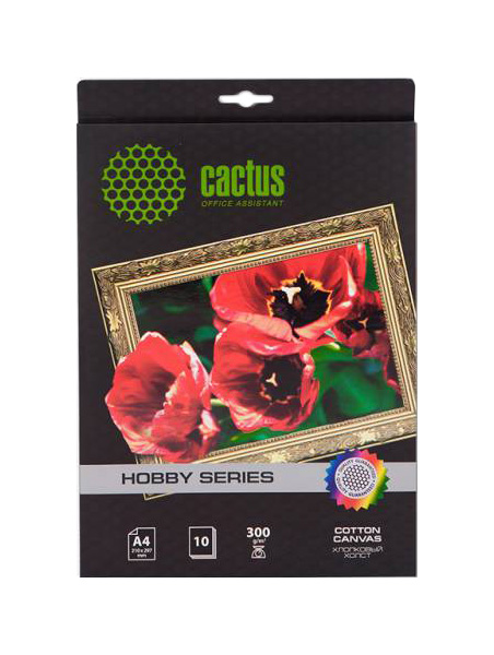 Холст Cactus CS-CA426010 A4/260г/м2/10л. для струйной печати