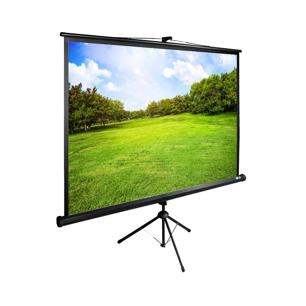 Экран Cactus 150x200см TriExpert CS-PSTE-200x150-BK 4:3 напольный рулонный черный