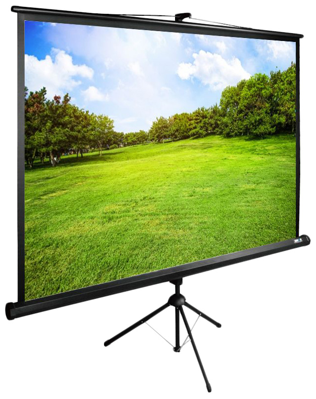 Экран Cactus 150x200см TriExpert CS-PSTE-200x150-BK 4:3 напольный рулонный черный
