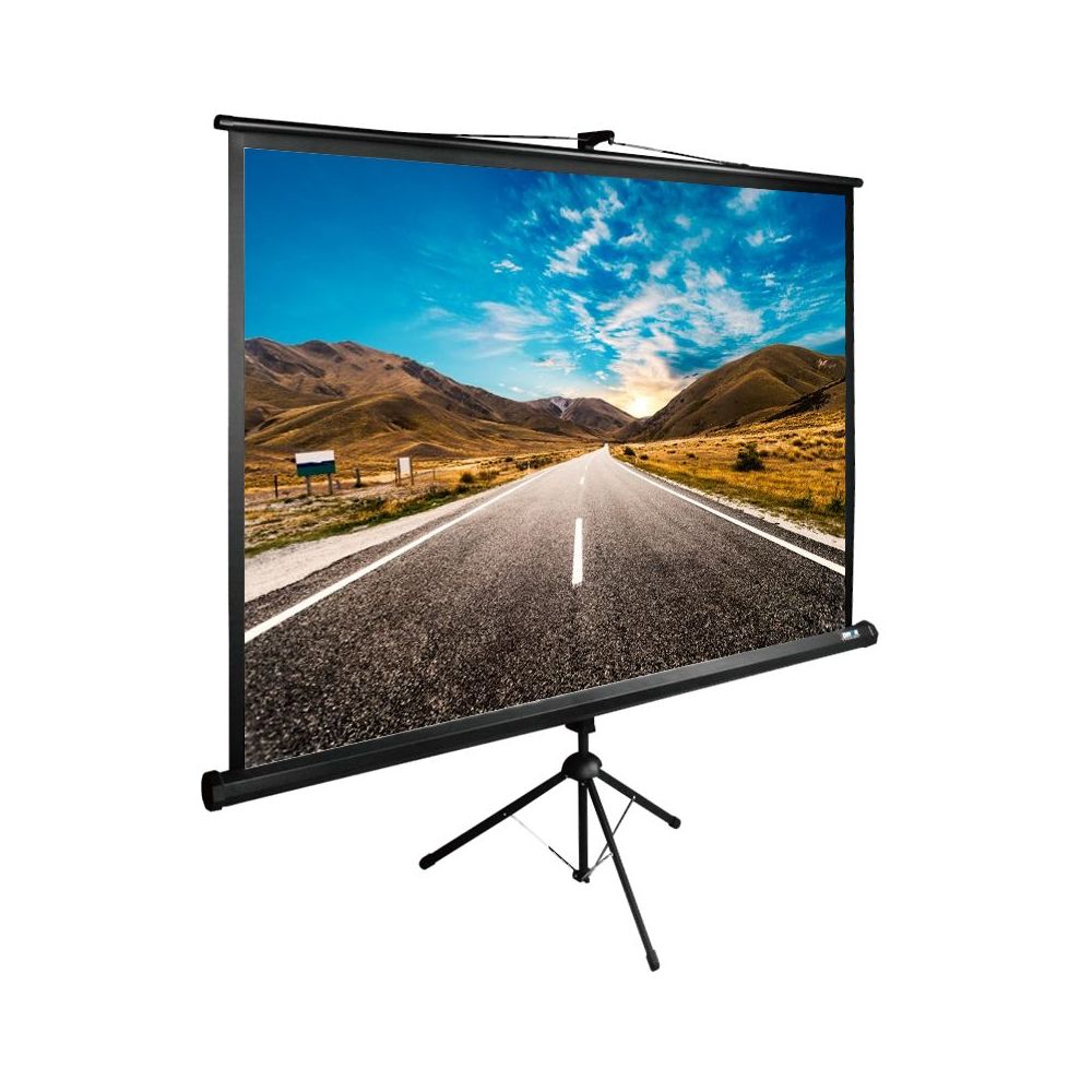 Экран Cactus 160x160см TriExpert CS-PSTE-160x160-BK 1:1 напольный рулонный черный