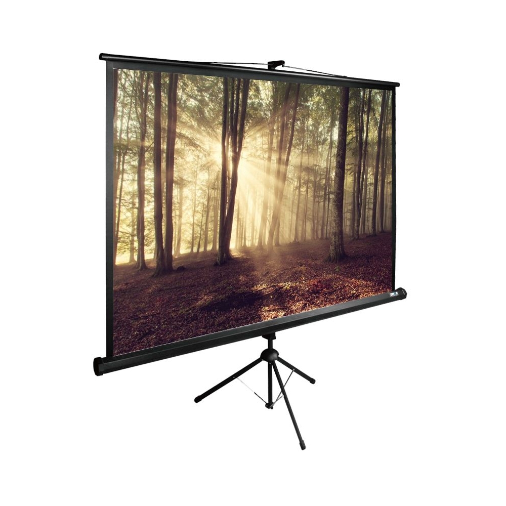 Экран Cactus 135x180см TriExpert CS-PSTE-180x135-BK 4:3 напольный рулонный черный