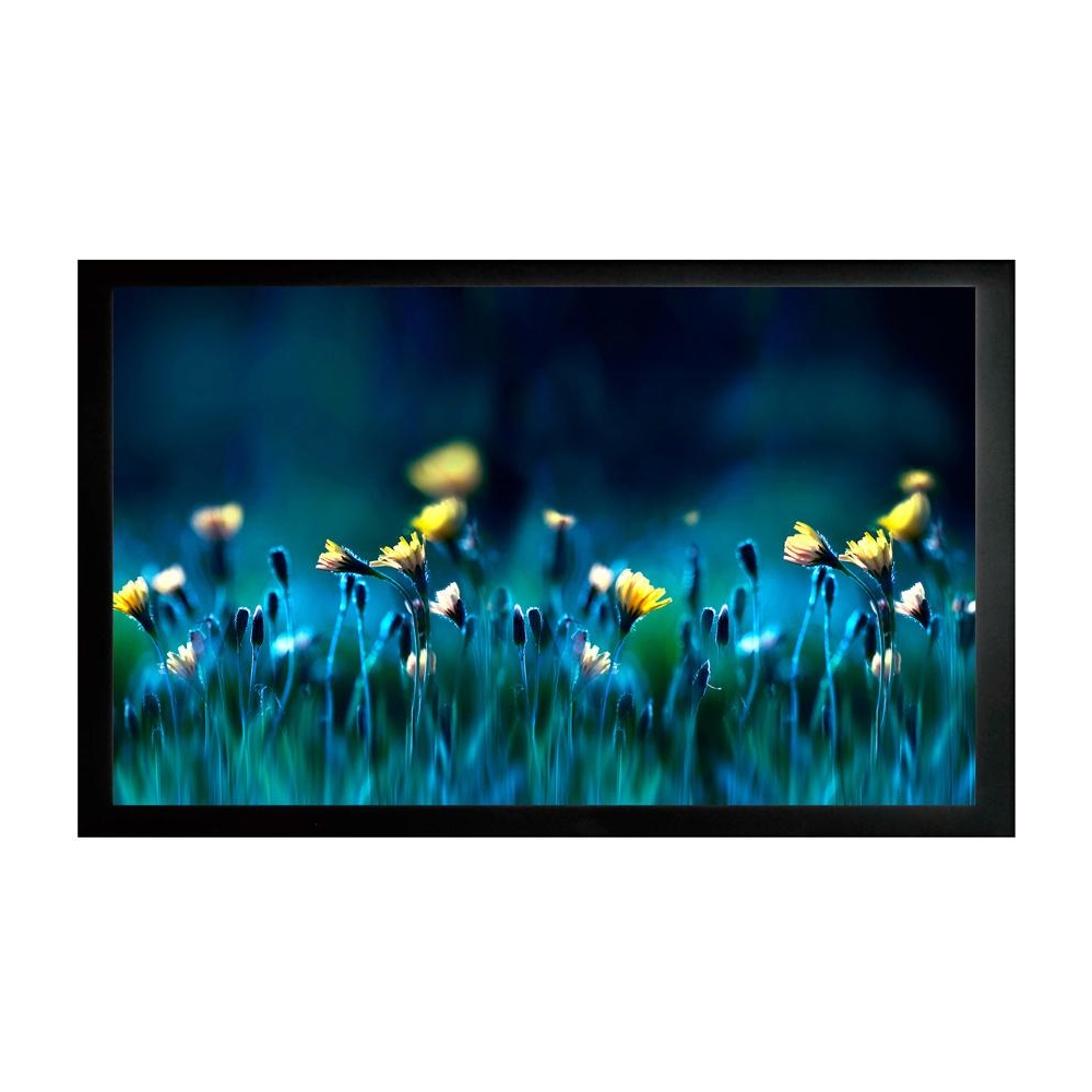 Экран на раме Cactus 113x200см FrameExpert CS-PSFRE-200X113 16:9 настенный натяжной