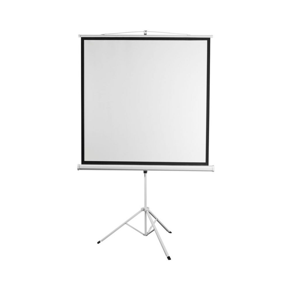 Экран 172x172см Digis Kontur-D DSKD-1104 1:1 напольный рулонный