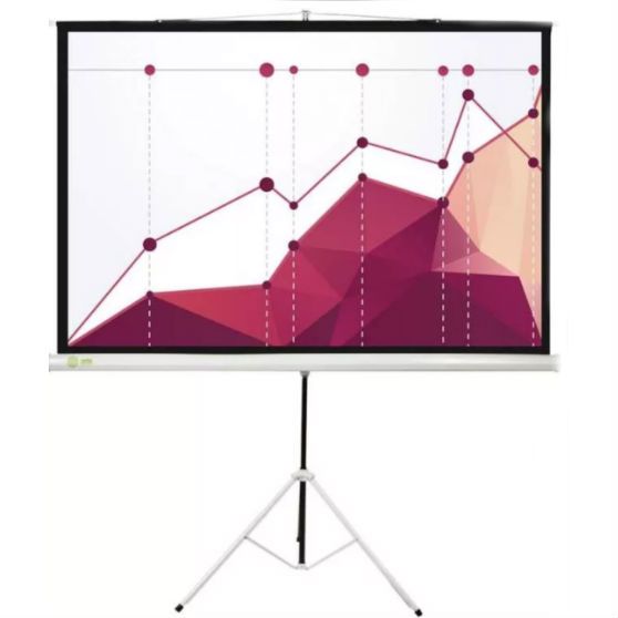 Экран 172x172см Digis Kontur-D DSKD-1104 1:1 напольный рулонный