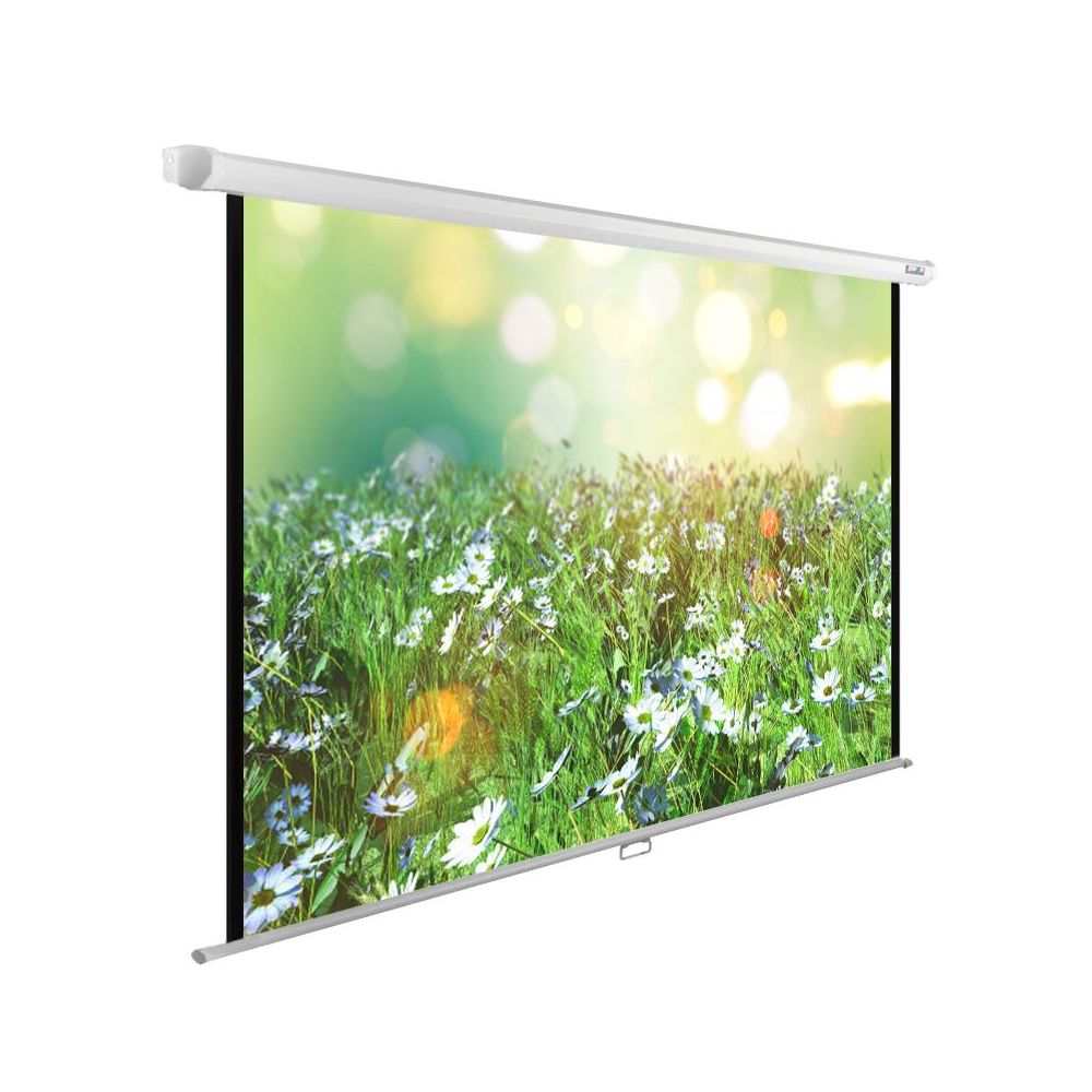 Экран Cactus 200x200см WallExpert CS-PSWE-200x200-WT 1:1 настенно-потолочный рулонный