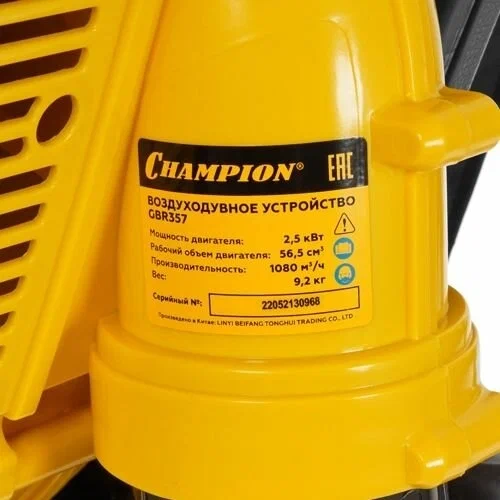Champion GBR357