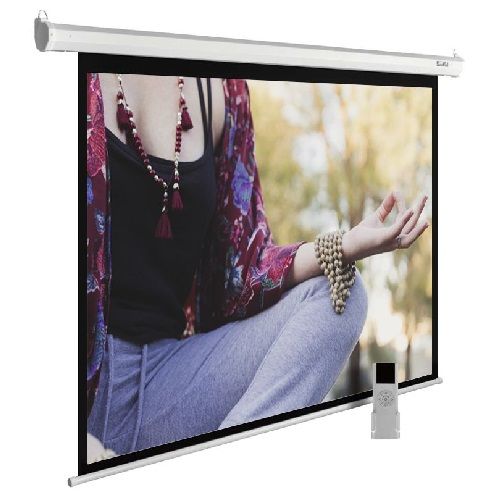 Экран Cactus 225x300см MotoExpert CS-PSME-300x225-WT 4:3 настенно-потолочный рулонный белый (моторизованный привод)