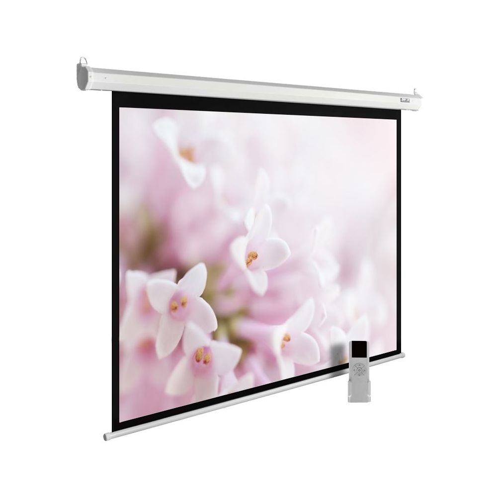 Экран Cactus 240x240см MotoExpert CS-PSME-240x240-WT 1:1 настенно-потолочный рулонный белый (моторизованный привод)
