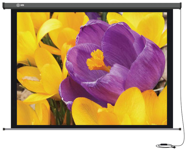 Экран Cactus 300x300см MotoExpert CS-PSME-300x300-WT 1:1 настенно-потолочный рулонный белый (моторизованный привод)