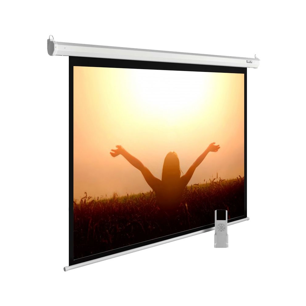 Экран Cactus 165x220см MotoExpert CS-PSME-220x165-WT 4:3 настенно-потолочный рулонный белый (моторизованный привод)