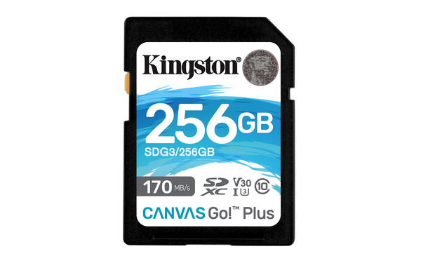 Флеш карта SDXC 256Gb Class10 Kingston SDG3/256GB Canvas Go! Plus w/o adapter
