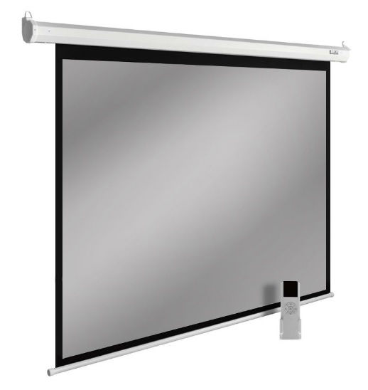 Экран Cactus SIlverMotoExpert CS-PSSME-200X150-DG,  200х150 см, 4:3,  настенно-потолочный темно-серый