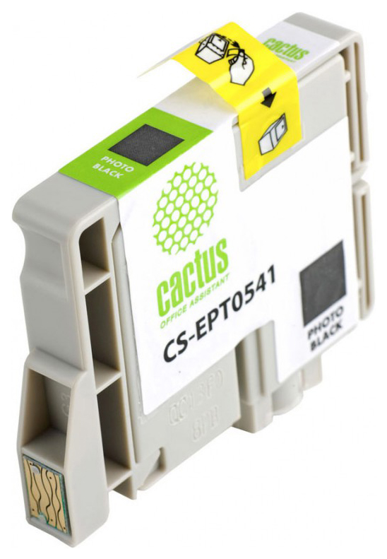 Картридж струйный Cactus CS-EPT0541 T0541 черный (16.2мл) для Epson Stylus Photo R800/R1800