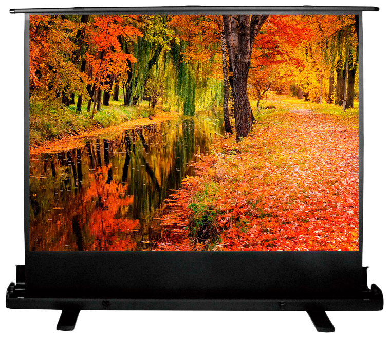 Экран Cactus 150x200см FloorExpert CS-PSFLE-200X150 4:3 напольный рулонный