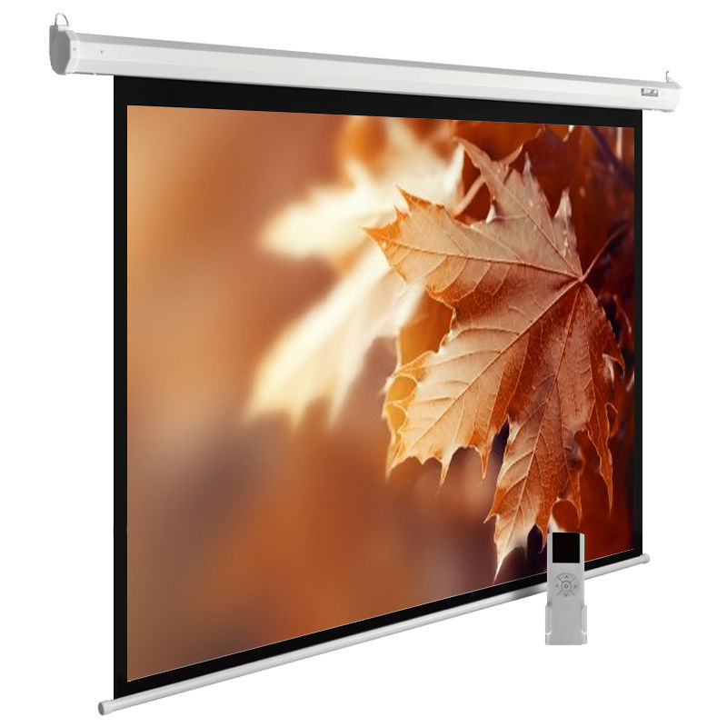 Экран Cactus 188x300см SIlverMotoExpert CS-PSSME-300X188-WT 16:10 настенно-потолочный рулонный темно-серый (моторизованный привод)